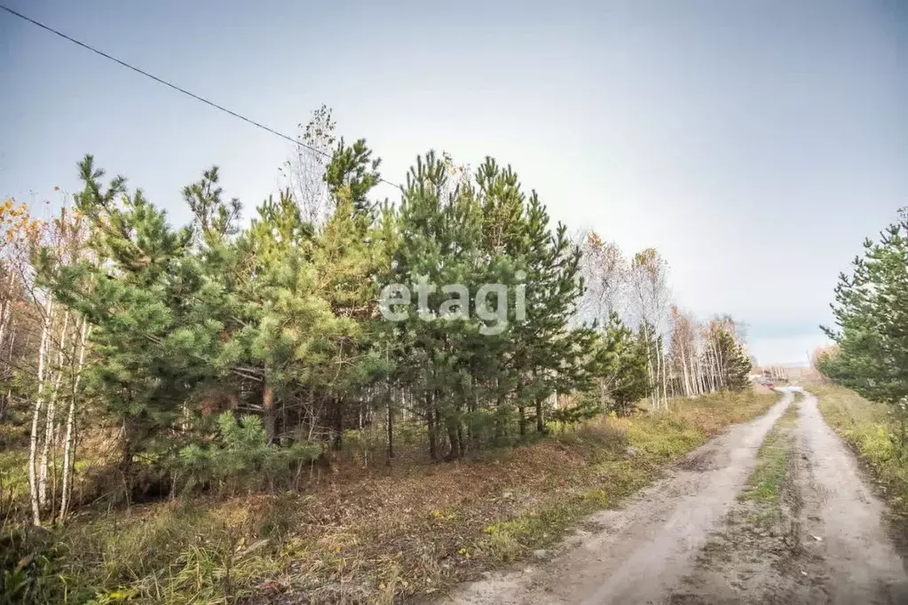 Участок в Новосибирская область, Искитимский район, Мичуринский ... - Фото 1