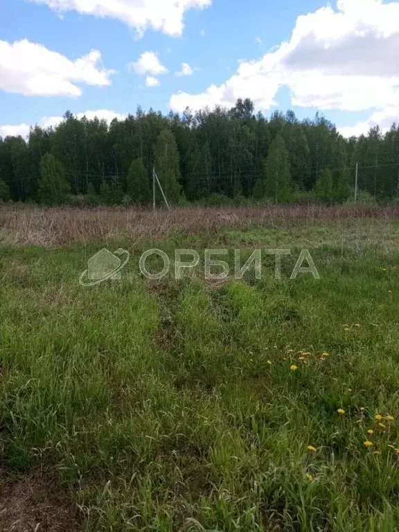 Участок в Тюменская область, Нижнетавдинский муниципальный округ, ... - Фото 1
