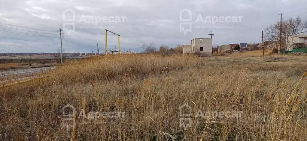 Участок в Волгоградская область, Светлоярский район, Кировское с/пос, ... - Фото 0