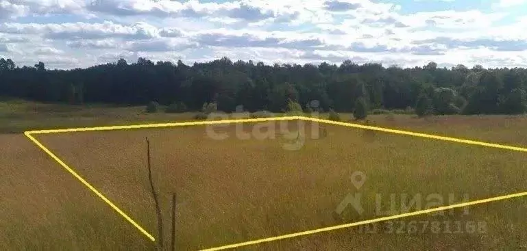 Участок в Ставропольский край, Шпаковский муниципальный округ, с. ... - Фото 2