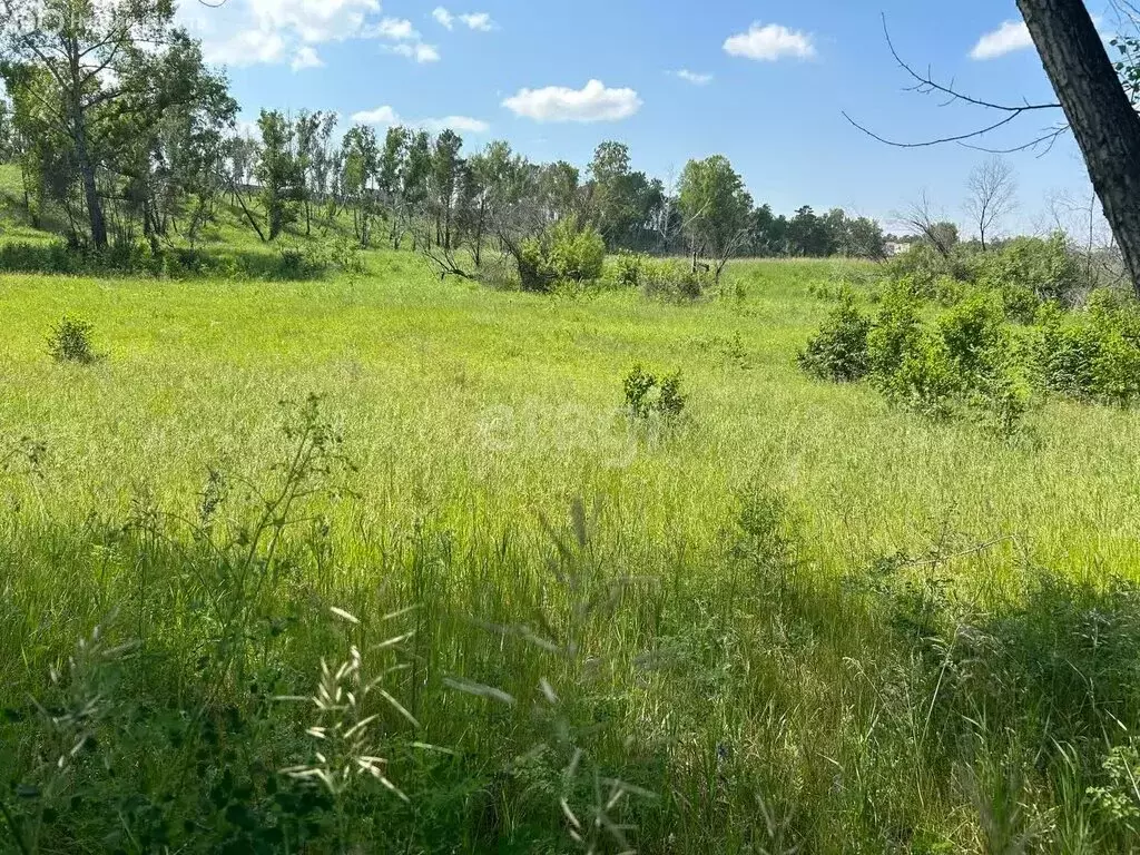 Участок в Красноярский край, Емельяновский муниципальный округ, ТСН ... - Фото 2