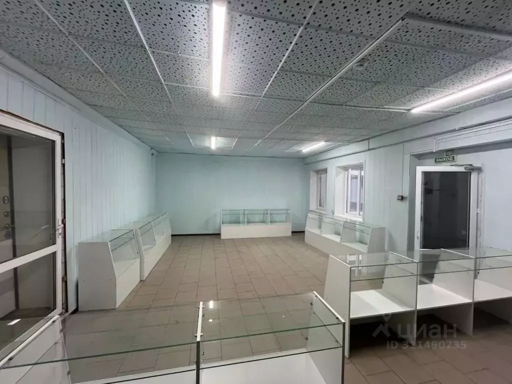 Помещение свободного назначения в Татарстан, Набережные Челны ... - Фото 1