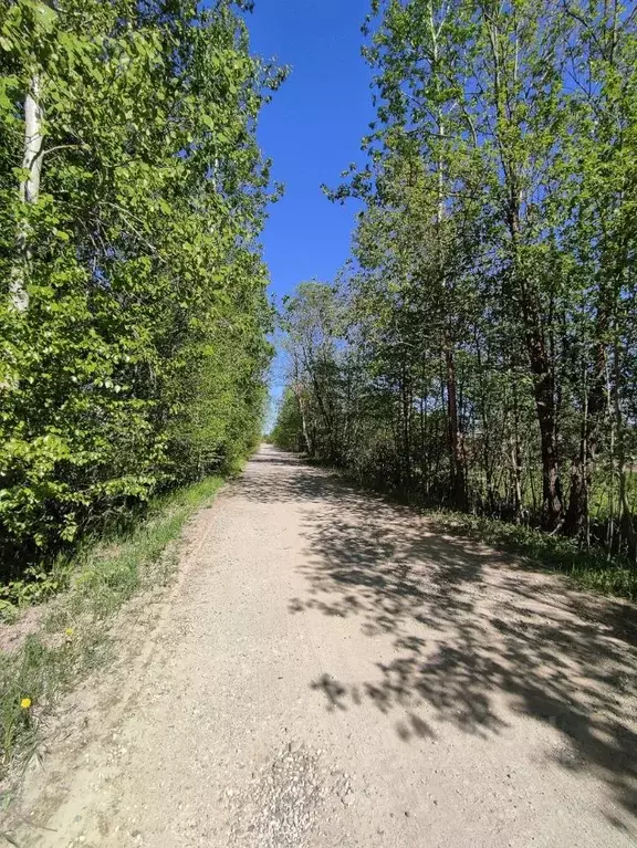 Участок в Новгородская область, Новгородский район, Ермолинское с/пос, ... - Фото 0