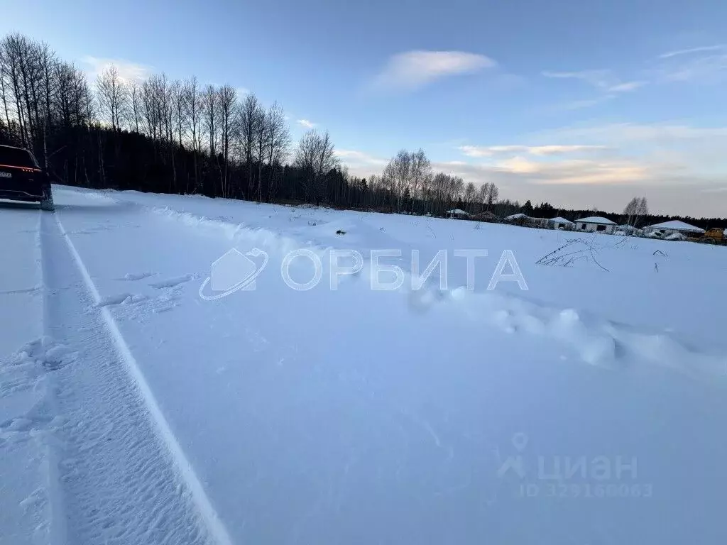 Участок в Тюменская область, Нижнетавдинский муниципальный округ, с. ... - Фото 1