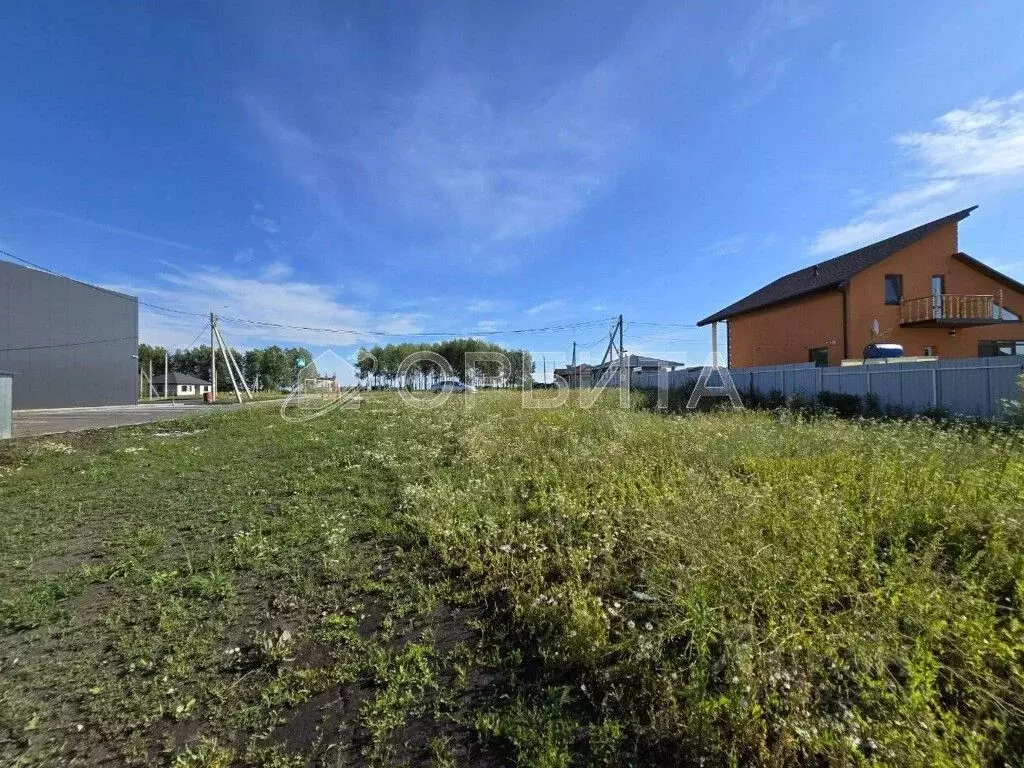 Участок в Тюменская область, Тюменский район, с. Кулига, Сказка кп  ... - Фото 1