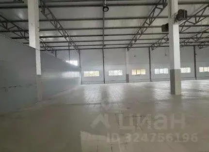 Склад в Ленинградская область, Отрадное Кировский район, Ленинградское ... - Фото 1