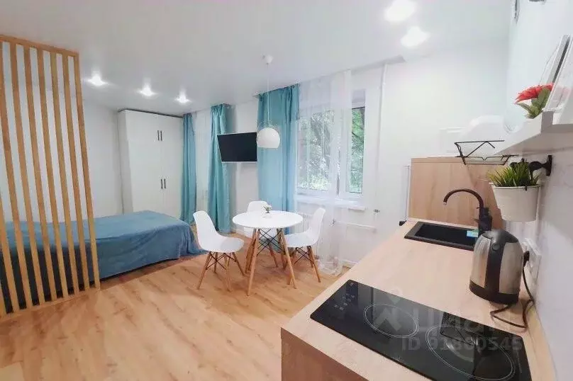 1-к кв. Санкт-Петербург Коломяжский просп., 34К2 (25.0 м) - Фото 1