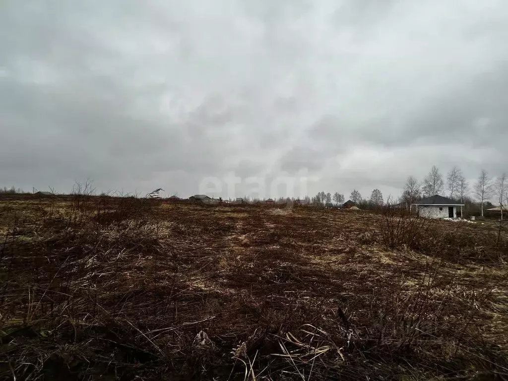 Участок в Брянская область, Брянский район, Отрадненское с/пос, с. ... - Фото 1