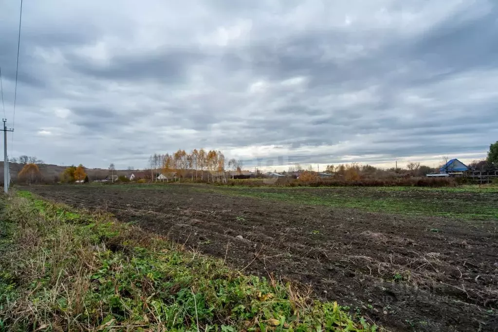 Участок в Алтайский край, Красногорский район, с. Березовка ул. ... - Фото 0
