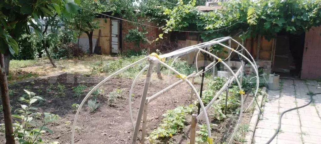 Участок в Ростовская область, Ростов-на-Дону Образцовый СТ,  (5.2 ... - Фото 1