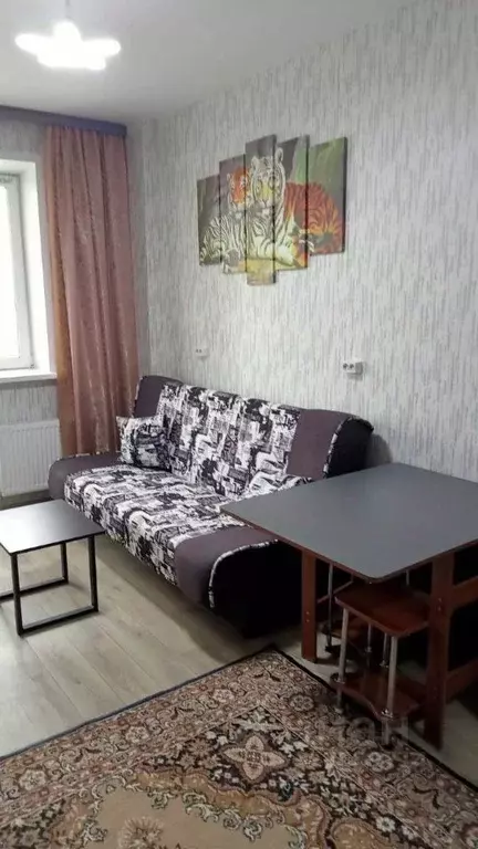 Студия Красноярский край, Красноярск ул. Вильского, 28 (28.0 м) - Фото 0