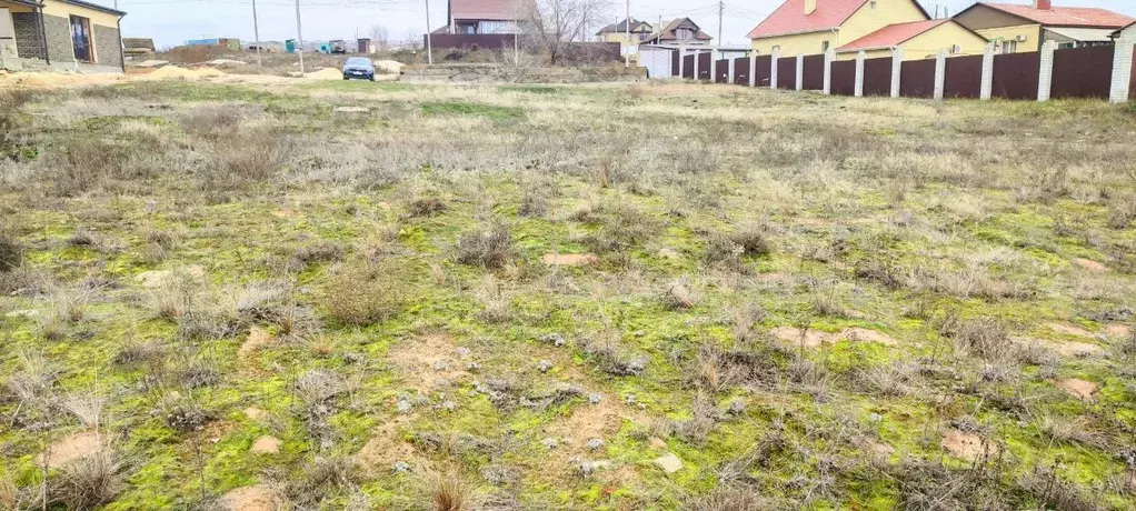 Участок в Волгоградская область, Городищенский район, Царицынское ... - Фото 1