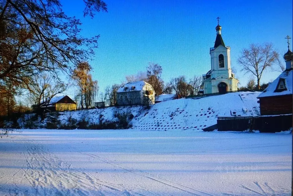 Дом в Тамбовская область, Тамбов городской округ, пос. Тригуляй 27 (57 ... - Фото 2