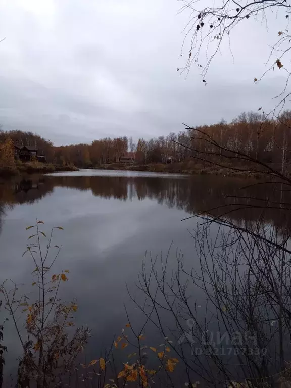 Дом в Нижегородская область, Нижний Новгород с. Новые Ключищи, ул. ... - Фото 2