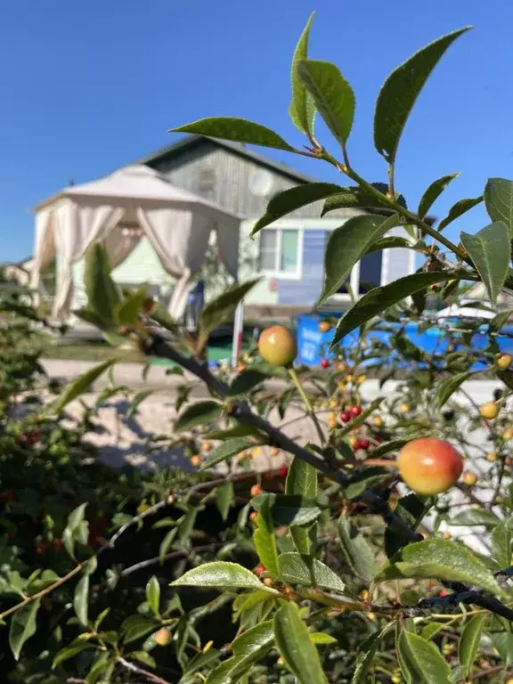 3-к кв. Архангельская область, Холмогорский муниципальный округ, пос. ... - Фото 1