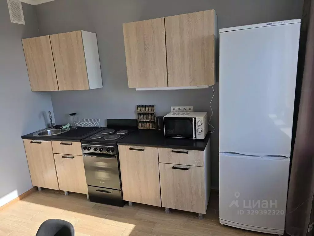 1-к кв. Московская область, Старая Купавна Богородский городской ... - Фото 1