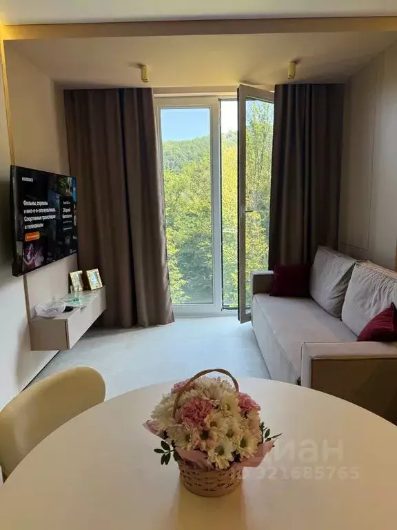 2-к кв. Краснодарский край, Сочи ул. Ленина, 290/8к3 (33.0 м) - Фото 1