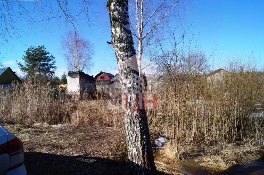 Участок в Тверская область, Конаковский муниципальный округ, ... - Фото 1