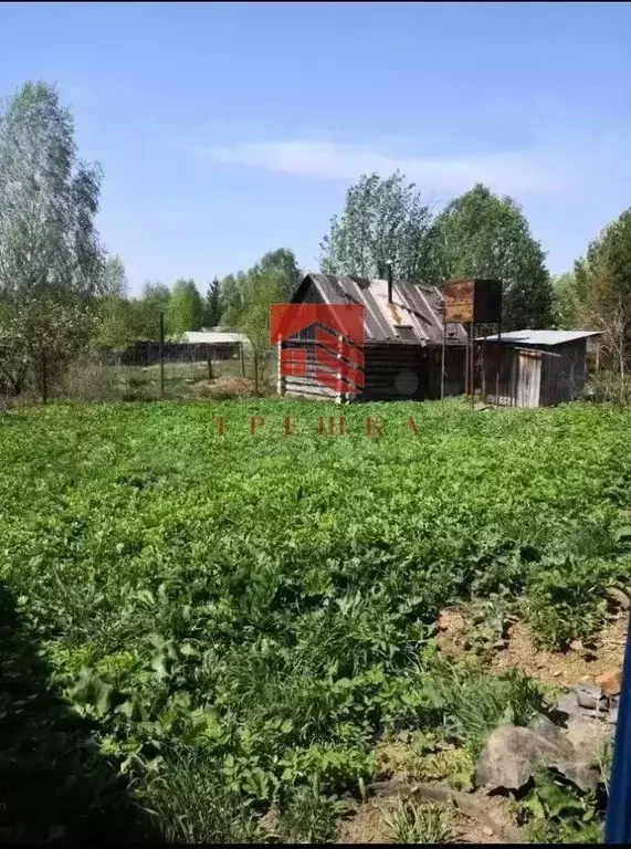 Дом в Пермский край, Краснокамский городской округ, д. Ильино 9 (27 м) - Фото 1