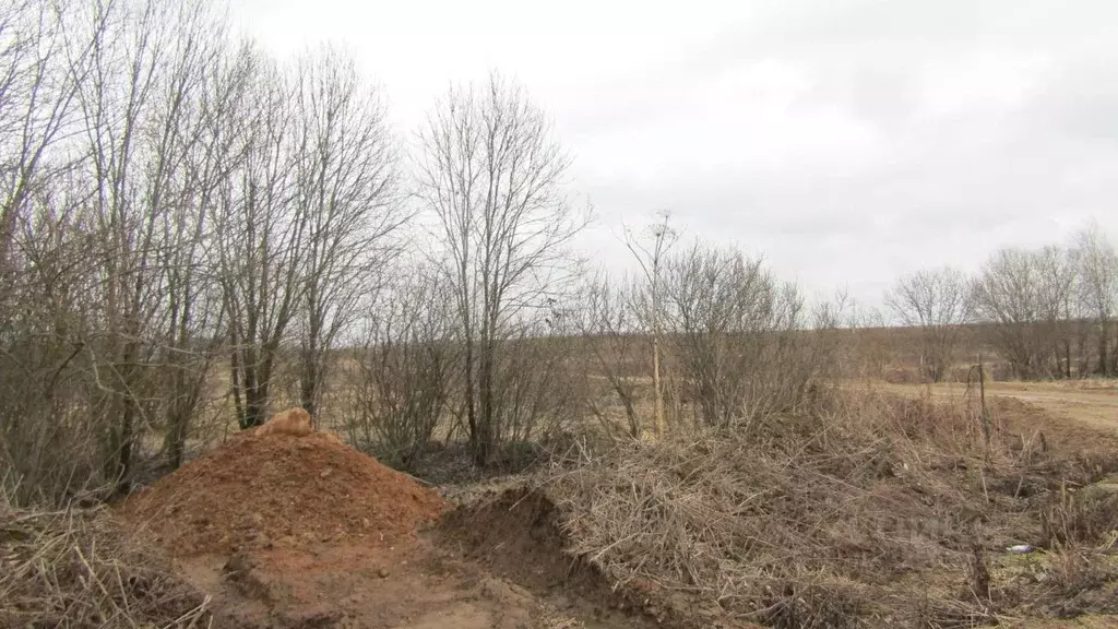 Участок в Московская область, Рузский муниципальный округ, д. Орешки  ... - Фото 2