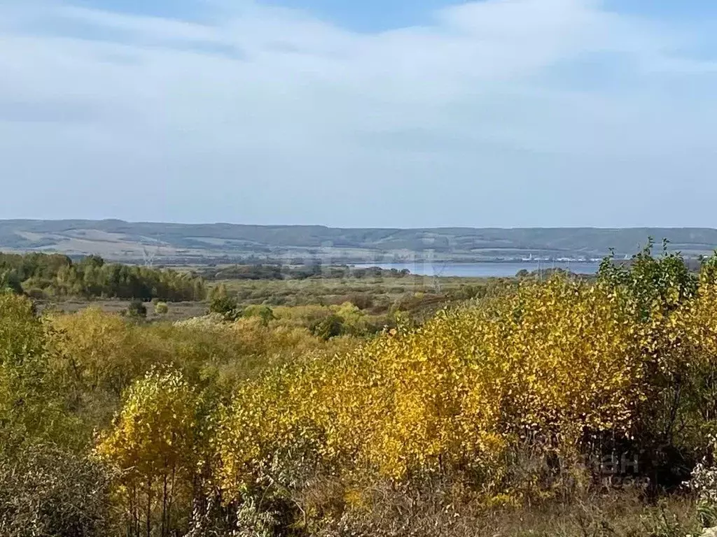 Участок в Амурская область, Благовещенский район, с. Игнатьево ... - Фото 2