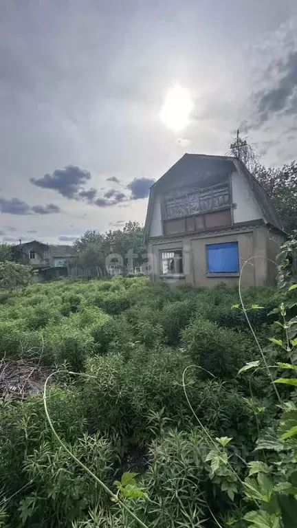 Дом в Воронежская область, Воронеж Садовод ВАСО СНТ, ул. 6-я, 261 (46 ... - Фото 1
