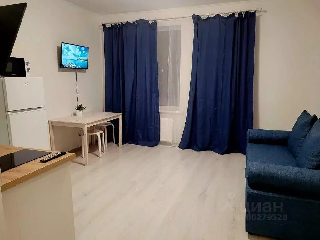 Студия Санкт-Петербург аллея Арцеуловская, 19 (26.0 м) - Фото 1