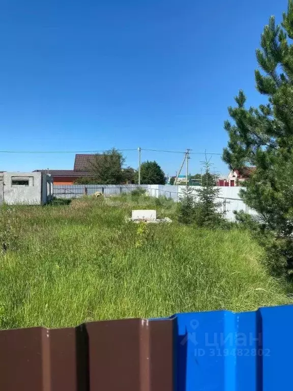 Участок в Ульяновская область, Чердаклинский район, Красноярское ... - Фото 1