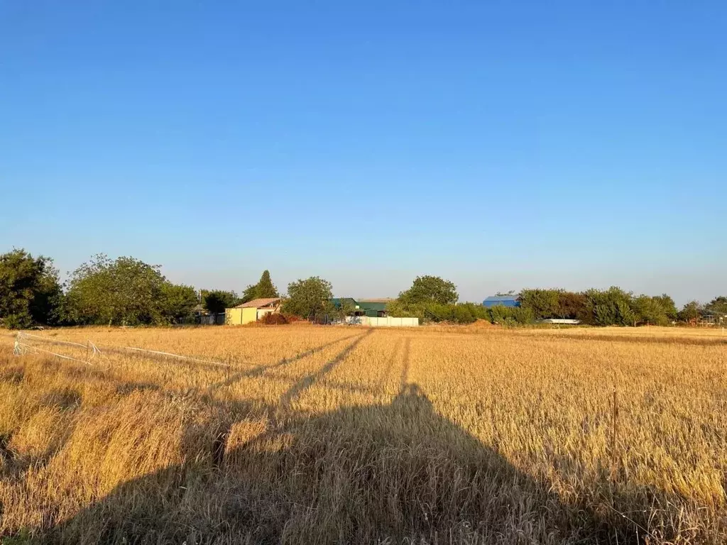 Участок в Краснодарский край, Ейский район, с. Кухаривка ... - Фото 0