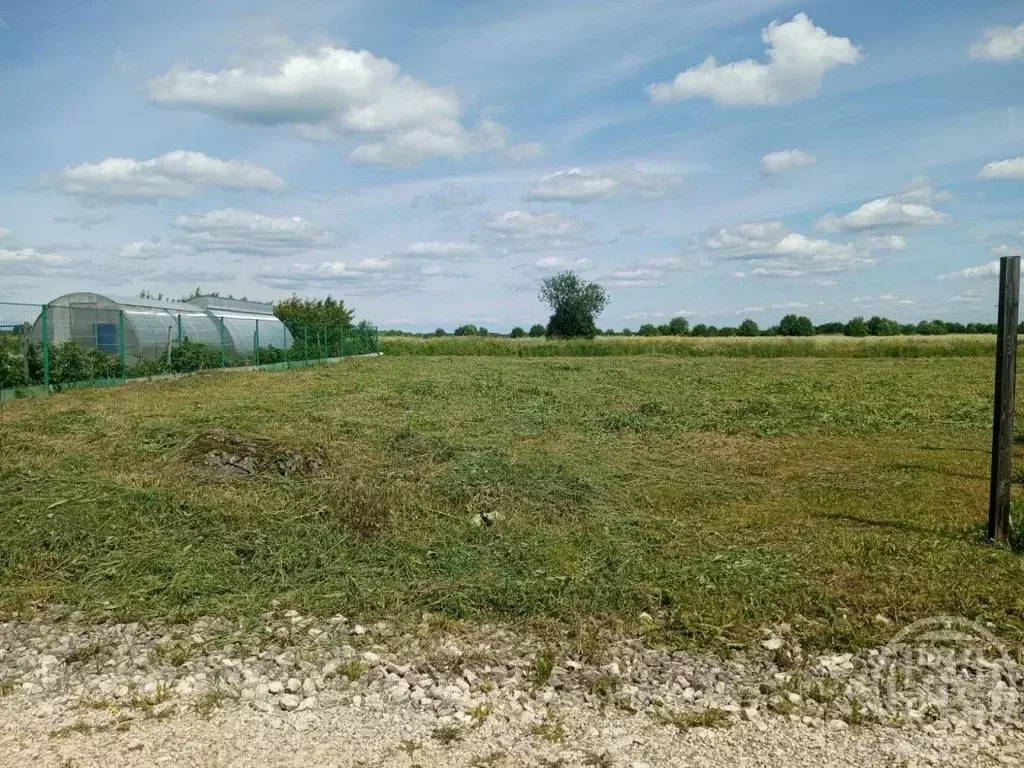 Участок в Ленинградская область, Ломоносовский район, Гостилицкое ... - Фото 0