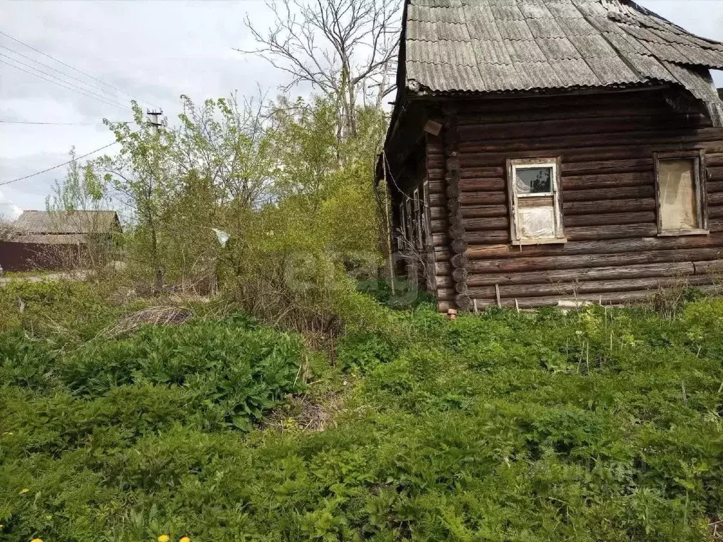 Участок в Костромская область, Красносельский район, Сидоровское ... - Фото 0