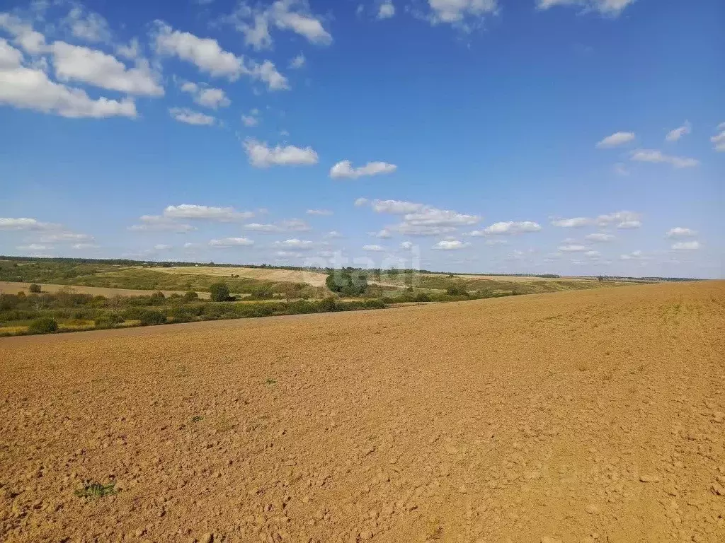 Участок в Нижегородская область, Кстовский муниципальный округ, с. ... - Фото 1