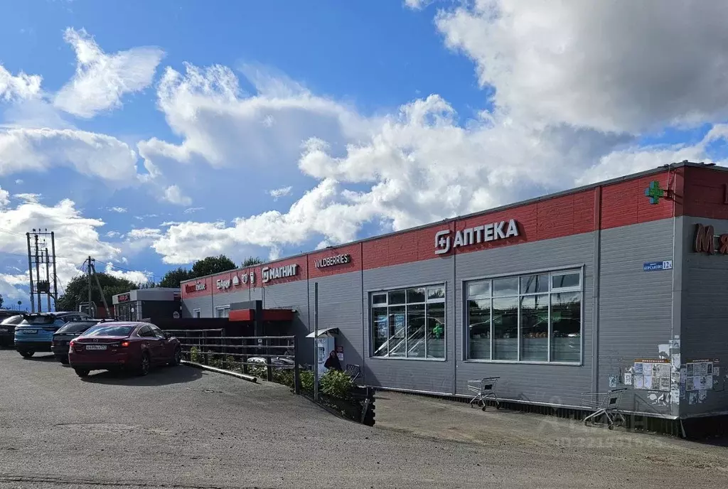 Торговая площадь в Московская область, Истра муниципальный округ, д. ... - Фото 0