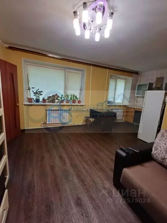 3-к кв. Саратовская область, Саратов Студеная ул., 19 (42.6 м) - Фото 2