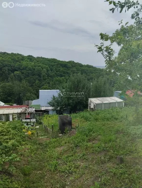 Дом в Амурск, посёлок Индивидуальный, Горная улица, 15 (37.3 м) - Фото 1