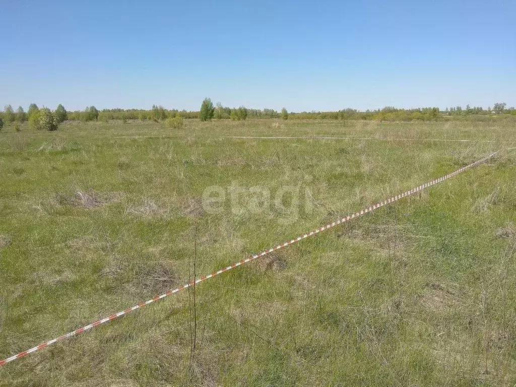 Участок в Тамбовская область, Котовск ул. Кузьминская (10.04 сот.) - Фото 0