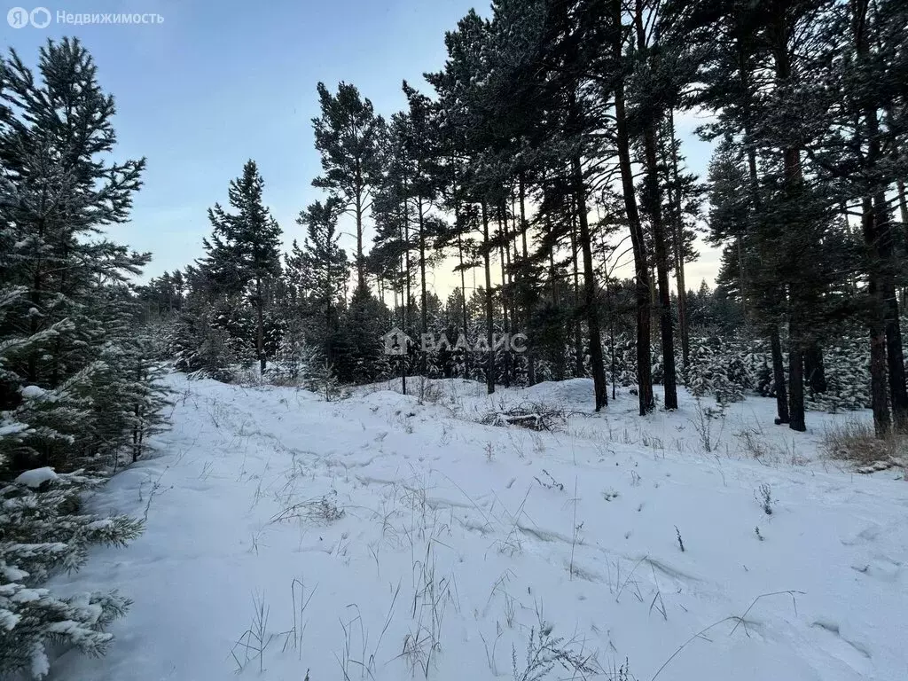 Участок в село Турунтаево, микрорайон Солнечный, 5 (15 м) - Фото 1