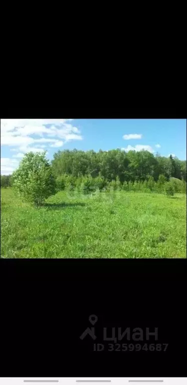 Участок в Псковская область, Печорский муниципальный округ, д. ... - Фото 1