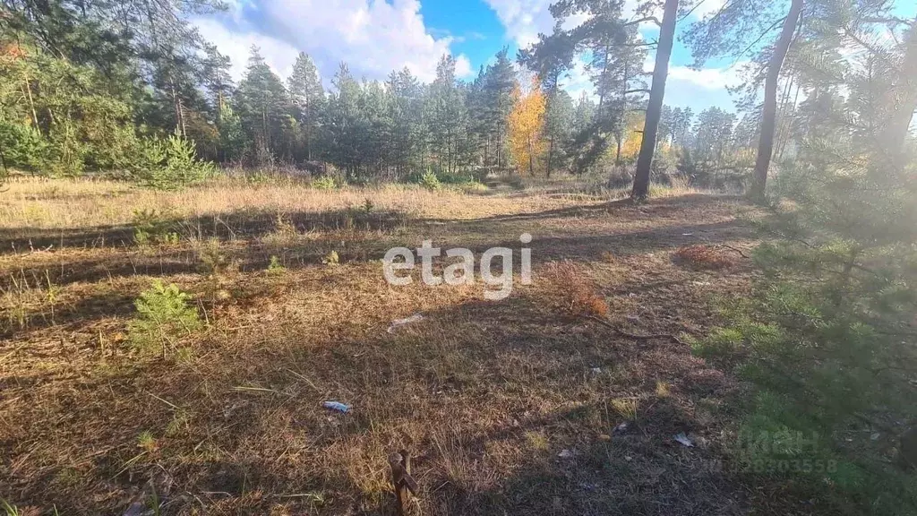 Участок в Владимирская область, Покров городской округ, пос. Городищи ... - Фото 2