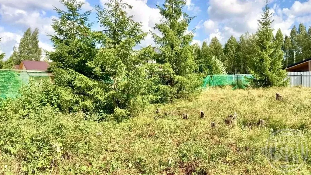 Участок в Ленинградская область, Всеволожск ул. Рубцова, 29И (6.25 ... - Фото 0