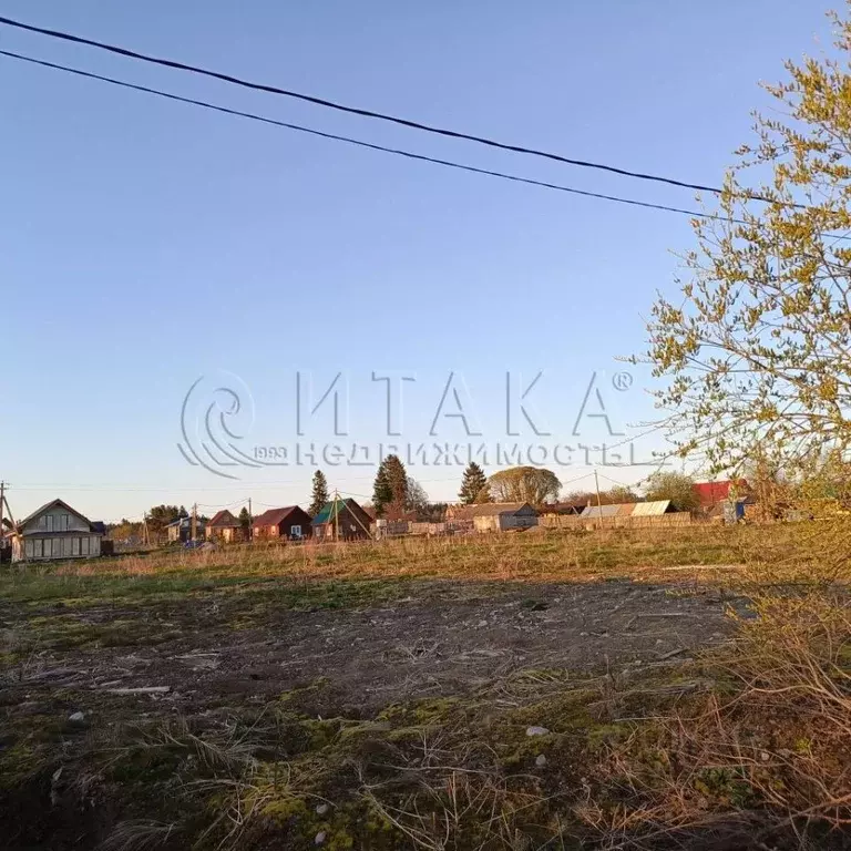 Участок в Ленинградская область, Приозерский район, Плодовское с/пос, ... - Фото 2