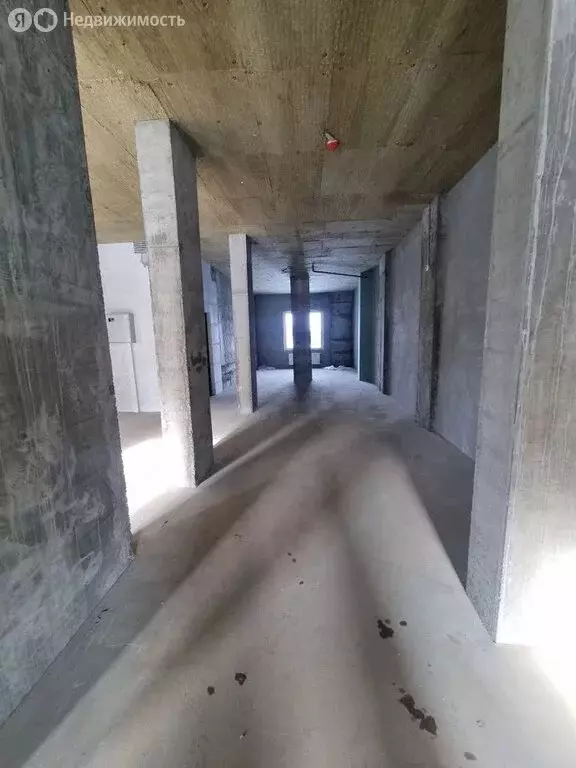 Помещение свободного назначения (234.2 м) - Фото 2