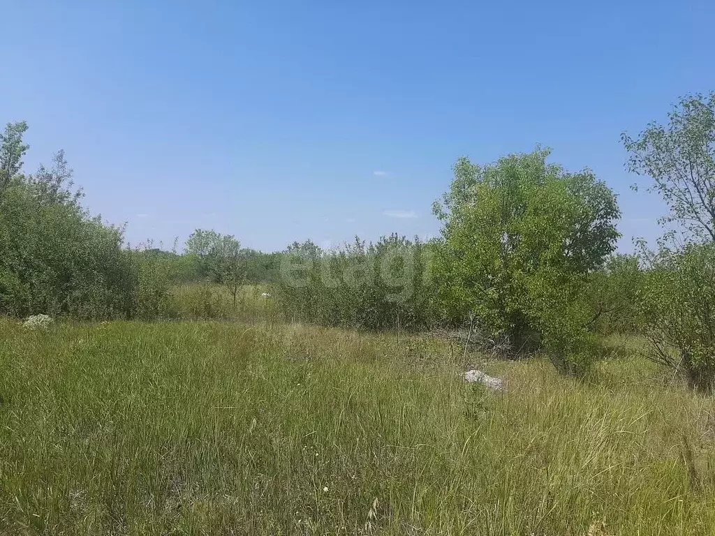 Участок в Белгородская область, Валуйский муниципальный округ, ... - Фото 1
