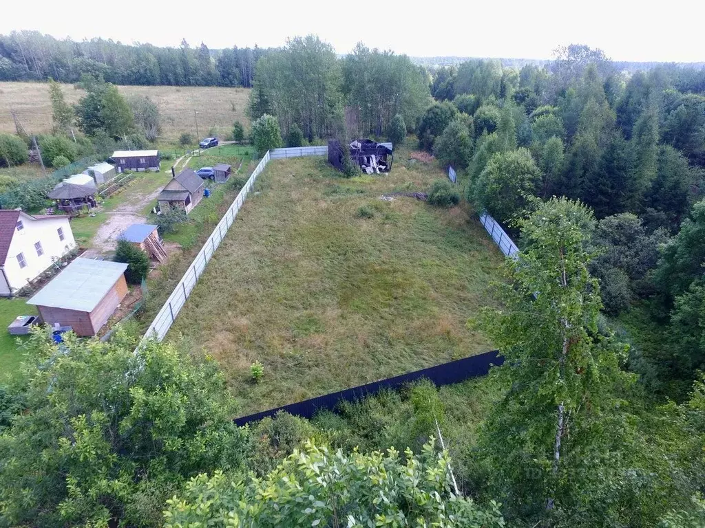 Участок в Ленинградская область, Лужский район, Толмачевское городское ... - Фото 2