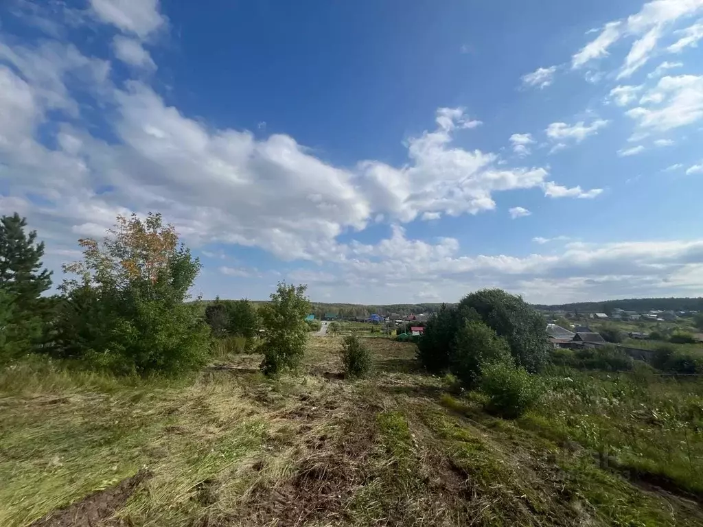 Участок в Тюменская область, Тюменский район, с. Каменка Ирбитская ... - Фото 1