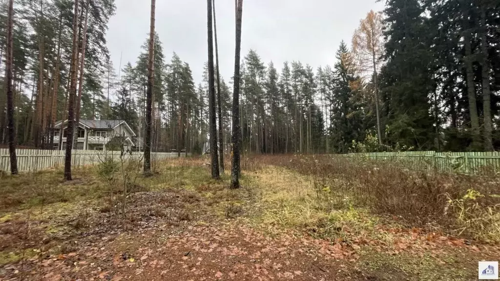 Участок в Санкт-Петербург, Санкт-Петербург, Зеленогорск Курортная ул. ... - Фото 0