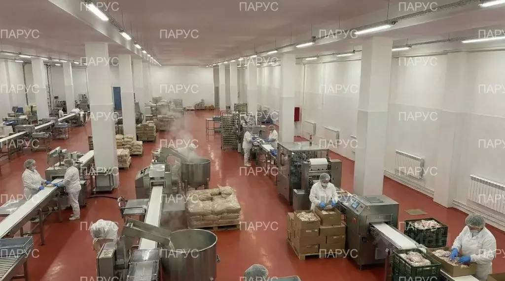 Производственное помещение в Москва Мироновская ул., 33С1 (713 м) - Фото 1