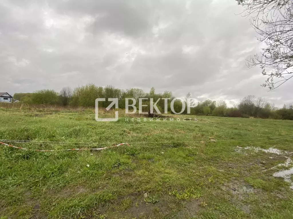 Участок в Костромская область, Костромской район, Бакшеевское с/пос, ... - Фото 2