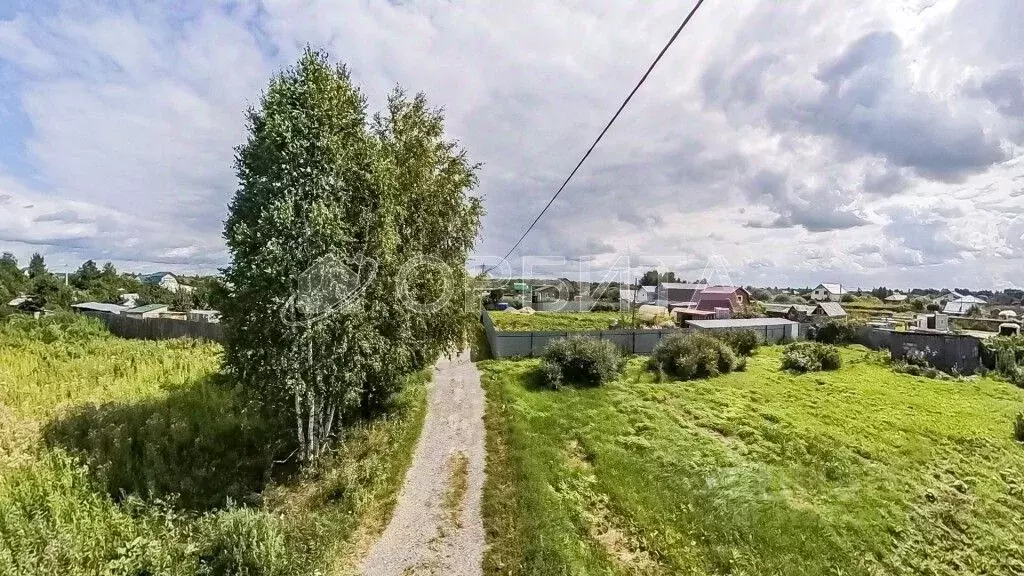 Участок в Тюменская область, Тюмень Царево садовое товарищество, ул. ... - Фото 1