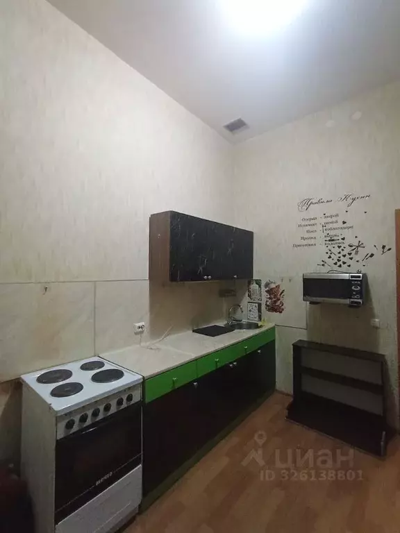 1-к кв. Санкт-Петербург, Санкт-Петербург, Колпино Загородная ул., 43к4 ... - Фото 2